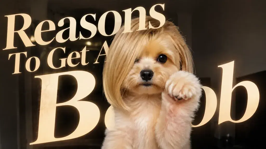 Reasons To Get A Bob